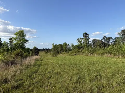 Sandy Hook Acreage on Hwy 48