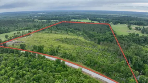 Undeveloped Land in Walthall County