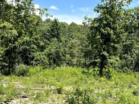 Secluded Land in Haley Hills