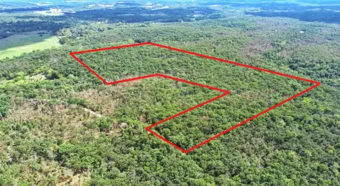 Wooded Recreational Land