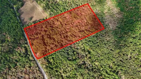Wooded Hunting Land