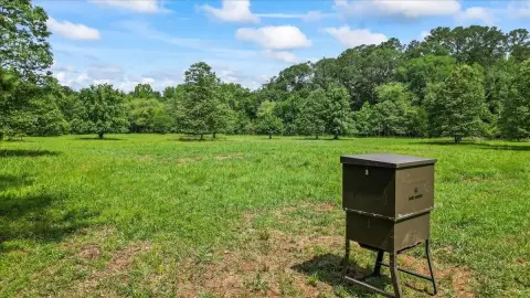 Land Near Downtown Madison, GA