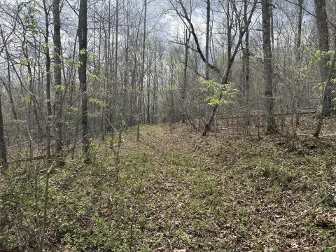 Kentucky Land Near Steele Hollow