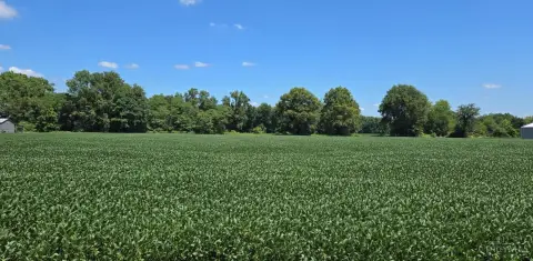 Farmland With Wooded Acreage