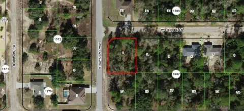 Citrus Springs Corner Lot