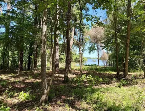 Waterfront Lot on Lake Palestine