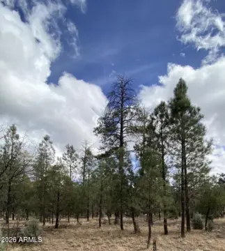 Cul-de-Sac Forest Homesite in Pine Canyon