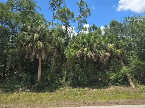 Residential Lots in Punta Gorda