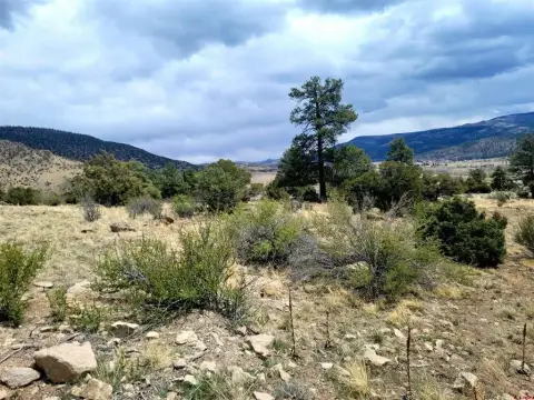 Treed Lot with Mountain Views
