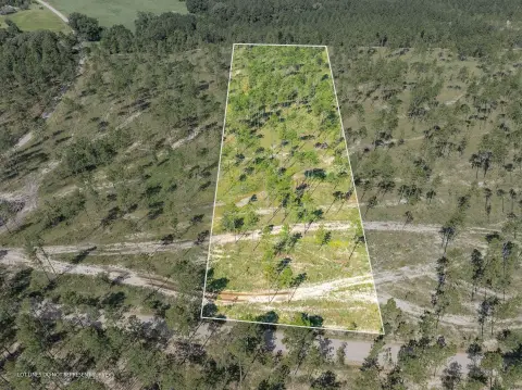 Paved-Frontage Timberland Acreage