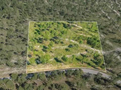 Pine-Adjacent Land with Paved Access