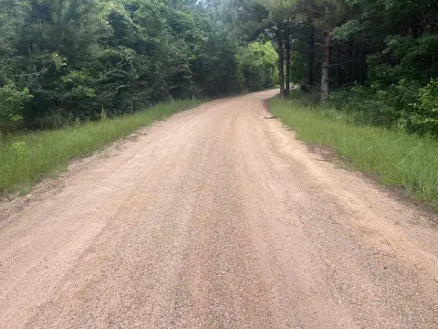 Land Beside National Forest
