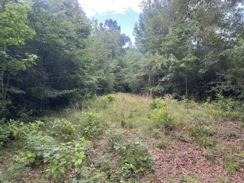 Recreational Land Tract