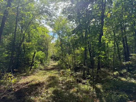 Wooded Land with Interior Clearing
