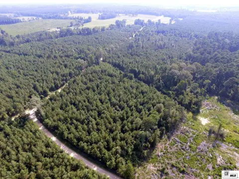 Recreation Land with Pine Plantation