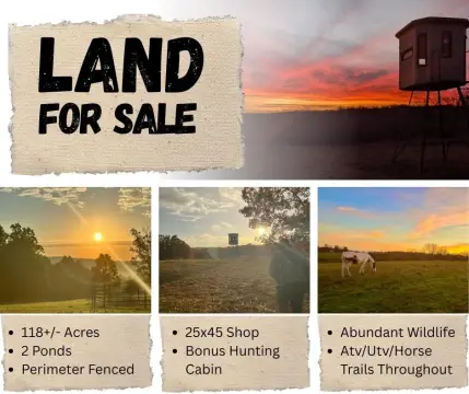 118 Acres Hunting and Recreation