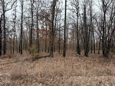 Land Near Bennett Springs Park