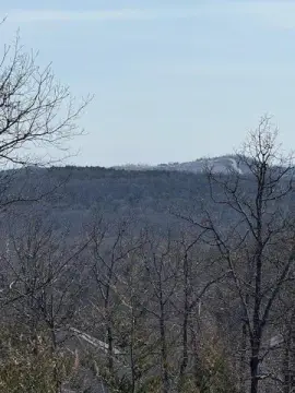 Branson Homesite with Expansive Views
