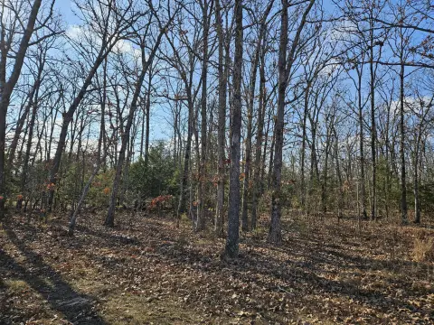 Marionville, MO Land Parcel