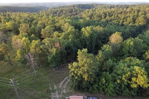 Recreation Land with Clearing