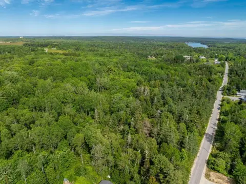 Wooded Recreation Land Parcel
