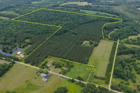 Hunting and Timber Land with Pond