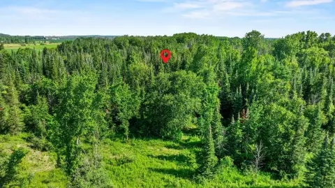 Wooded Hunting Land Parcel