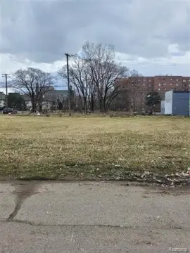 Detroit Land for Infill Housing