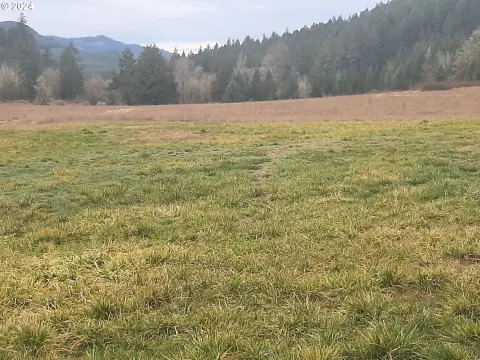 Scenic Dorena Land Parcel