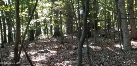 Land Near Nuangola Lake