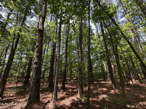 Recreational Hunting Land Acreage