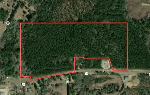Recreational Hunting Land with Road Frontage