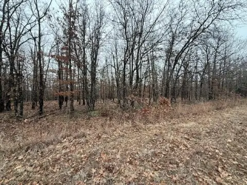Land Near Bennett Springs Park