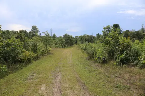 Hunting Land with Rustic Cabin