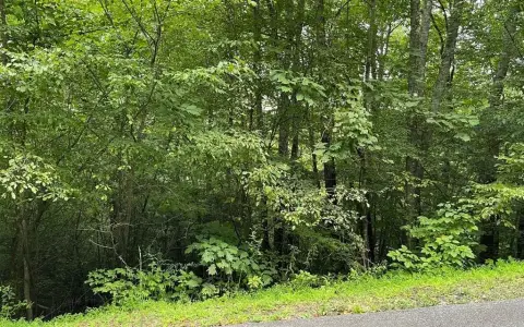 HIAWASSEE, GA Wooded Lot