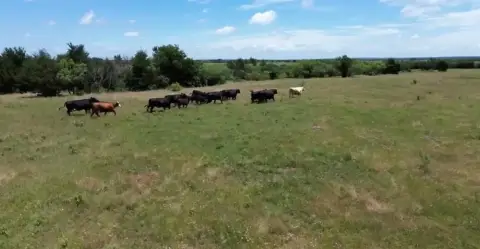 7.5 Acres Unimproved Land Sherman