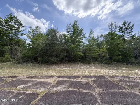 Wooded Residential Homesite Lot