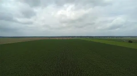 203 Acres of Farmland