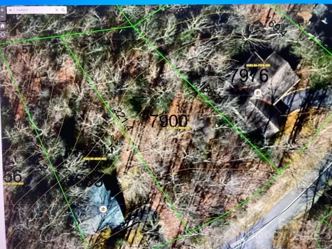 Land For Sale, Brevard, NC
