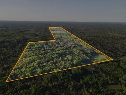 Recreational Hunting Land with River Frontage