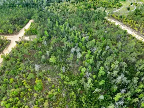 2.12 Acres Homesite in Alford