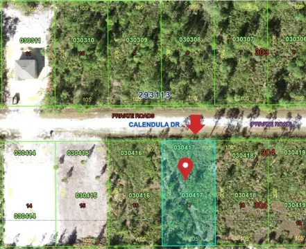 Indian Lake Estates Vacant Lot