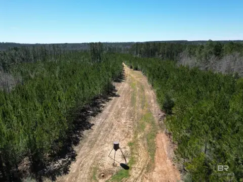 25 Acres Timberland Near Atmore