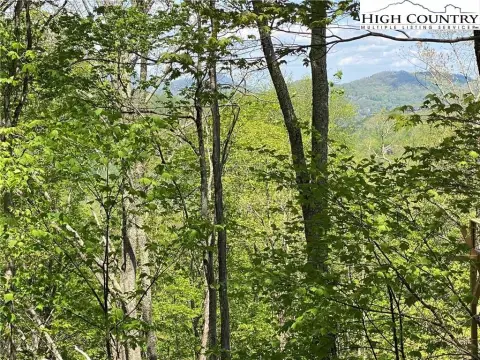 Wooded Lot with Mountain Views