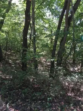 Wooded Recreation Land