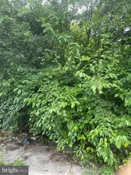 Vacant Land in Philadelphia