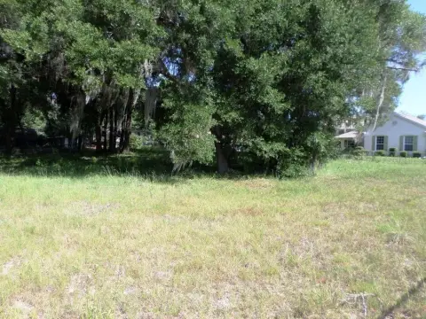 Residential Land Near Rainbow River