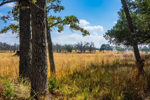 Texas Hill Country Land Homesite