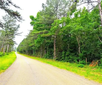 66.4 Acres in Cherokee County