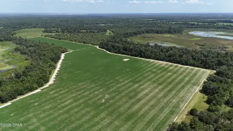 Waterfront Row Crop and Hunting Land
